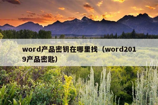 word产品密钥在哪里找（word2019产品密匙）